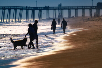 A family walking their dog along the Atlantic Ocean on the warm sandy beach at Ocean City MD on a warm October Day. People are silhouetted on the beach as they walk. Amusement pier in the background