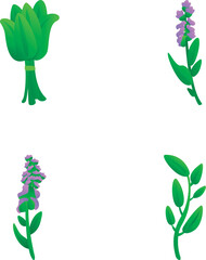 Poster - Culinary herb icons set cartoon vector. Various aromatic culinary herb. Healthy herbal plant