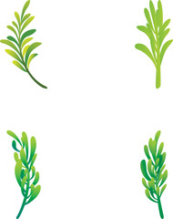 Canvas Print - Rosemary plant icons set cartoon vector. Green leaf and branch of rosemary. Aromatic spice, culinary