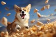 © Alexandr - A happy corgi dog with scattered, flying food.