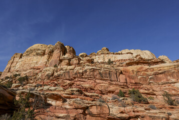 Poster - Scenic Landscape in Capitol Reef National Park Utah