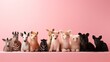 Adorable baby animals lined up on a pink background