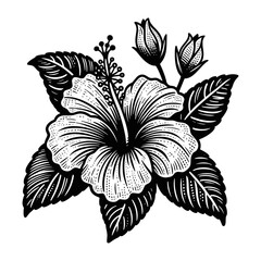 Wall Mural - beautiful hibiscus flower sketch