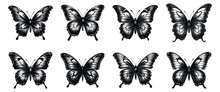 Butterfly Vintage Etching Set. Retro Drawing Butterflies With Open Wings Ancient Sketch, Etched Moth Animals Black Tattoos Engraving On White