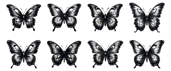 Wall Mural - Butterfly vintage etching set. Retro drawing butterflies with open wings ancient sketch, etched moth animals black tattoos engraving on white