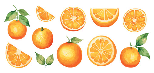 Wall Mural - Fresh orange watercolor slices. Isolated oranges with green leaves. Natural organic fruits, healthy vitamins tropical food vector clipart