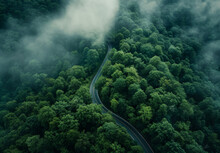 Highway, Road And Drone View Of A Path Through The Forest For Vacation, Adventure And Transportation. Clean, Green And Jungle Landscape For Environment, Sustainability And Ecology Background