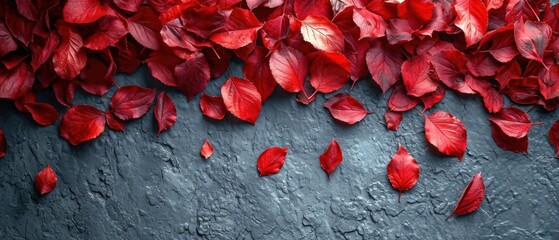 Canvas Print -  a group of red leaves floating on top of a cement wall next to a wall with a cement wall in the middle of the picture and a gray wall with a few red leaves on it.