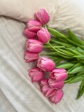 Fototapeta Tulipany - bunch of tulips