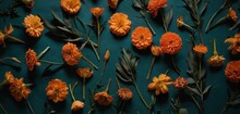  A Group Of Orange Flowers Laying On Top Of A Blue Table Top Next To Green Leaves And Flowers On A Blue Surface With A Few Orange Flowers In The Middle Of The Top.
