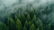 green mountain forest from a bird's eye view. AI generated illustration