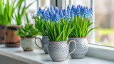 hyacinths in a pot