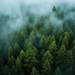  green mountain forest from a bird's eye view. AI generated illustration