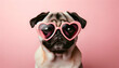 happy cute dog with a heart shaped sunglasses for valentine day, birthday or anniversary, on a pink background	
