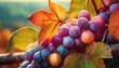 Kolorowe, abstrakcyjne owoce i liście winogron. Jesienna grafika