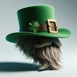 st patricks day hat with clover