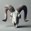  a horned sheep skull head