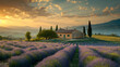 lavender fields in toscana