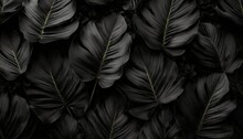 Textures Of Abstract Black Leaves For Tropical Leaf Background Flat Lay Dark Nature Concept Tropical Leaf Digital Ai