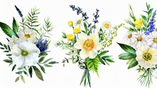 White Watercolor Arrangements With Flowers Set Bundle Bouquets With Wildflowers Leaves Branches Botanical Illustration