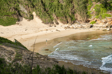 Poster - a beach in kauai