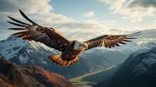 Bald Eagle In Flight With Mountains In The Background At Sunset.