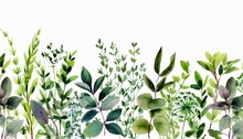 Set Watercolor Arrangements With Garden Herbs Seamless Border Collection Leaves Branches Botanic Illustration Isolated On White Background