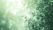 green bamboo leaves with copy space