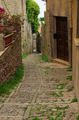 Canvas Print - Scenic landscape view of typical narrow pedestrian medieval cobblestone street along ancient buildings in historical part of Erice village, Sicily, Italy. Travel and tourism concept