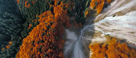 Poster - Aerial photo, autumn meets the First snow in the mountains