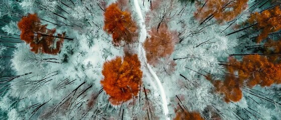Poster - Aerial photo, autumn meets the First snow in the mountains