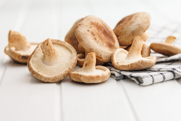 Wall Mural - The fresh shiitake mshrooms on white table.