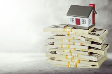 Canvas Print - Money house real estate model