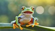 Green leaf frog close up macro view. Wildlife tropical animals. Generative AI