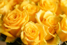 Background Of Yellow Roses In Bouquet. Selective Focus.