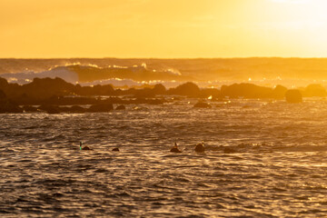 Poster - sunset on the beach 