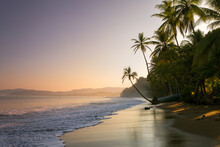 Sunset On A Tropical Beach With Palm Trees, Baya Drake, Osa Peninsula, Costa Rica