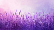 紫色のラベンダーの花が咲いた幻想的な風景　Generative AI