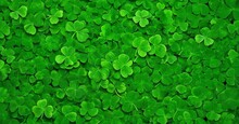 Green Shamrock Background. Top View With Copy Space. For Design, Flyer, Postcard. The Concept Of St. Patrick's Day Is Associated With Either Irish Culture Or The Myths Of Leprechauns.