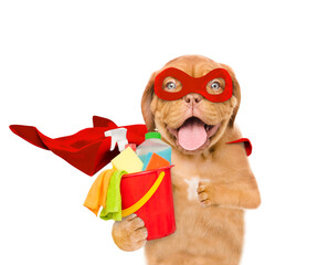Poster - Funny Mastiff puppy wearing superhero costume holds bucket with washing fluids. Isolated on white background