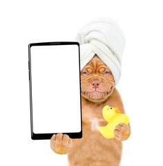 Aufkleber - Smiling Mastiff puppy wrapped with towel holds rubber duck and shows big smartphone with white blank screen in it paw. isolated on white background