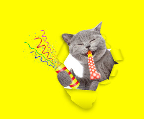 Aufkleber - Happy cat looks through the hole in yellow paper, blows in party horn and holds exploding firecracker