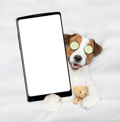 Wall Mural - jack russell terrier puppy with towel on it head and with a piece of cucumber on it eyes relaxing on the bed at home and showing big smartphone with white blank screen in it paw. Top down view