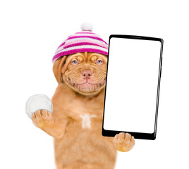 Poster - Happy puppy wearing a warm hat with pompon holds snowball and holds smartphone with white blank screen in it paw. isolated on white background