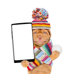 Poster - Smiling puppy wearing a warm hat with pompon and knitted woolen scarf holds snowball and holds smartphone with white blank screen in it paw. isolated on white background