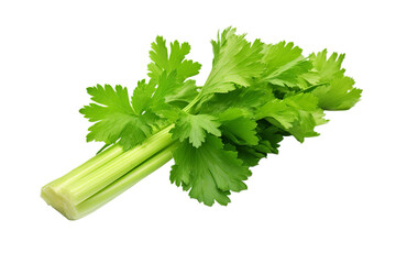 Wall Mural - illustration of a green celery with a green leaf, Isolated on transparent PNG background, Generative ai