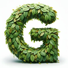 Wall Mural - The letter G is made out of leaves, leaves Alphabet, on a White background, isolated on white, photorealistic	

