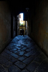 Wall Mural - Around the center of the splendid cities of Pisa and Lucca