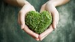 Female hands holding a green heart. The concept of donations and family insurance, World Heart Day. Health day. Gratitude, kindness, volunteers. The theme of ecology.