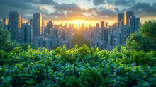Cityscape With Green Bush And Sunset Sky Background, Natural Eco City Landscape